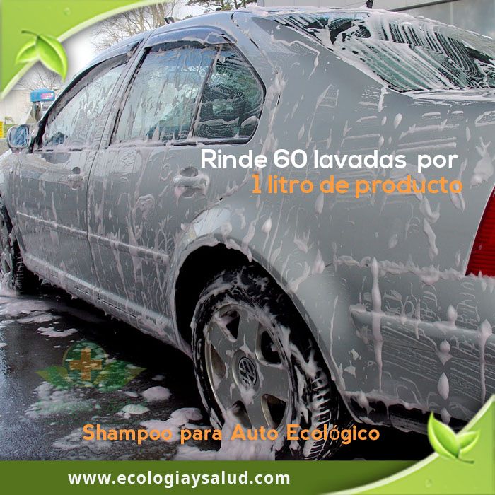 Car Shampoo Ecologico